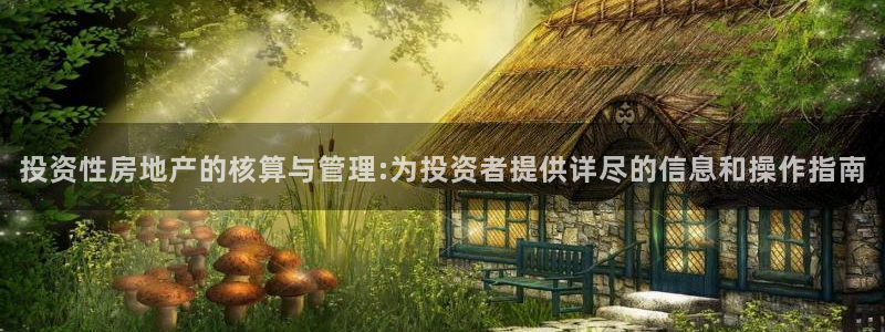 新宝5天：投资性房地产的核算与管理:为投资者提供详尽的信息和