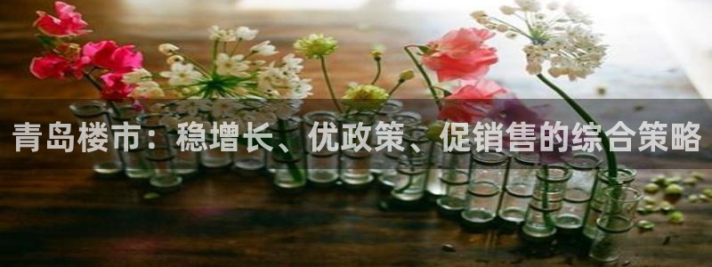 新宝5娱乐注：青岛楼市：稳增长、优政策、促销售的综合策略