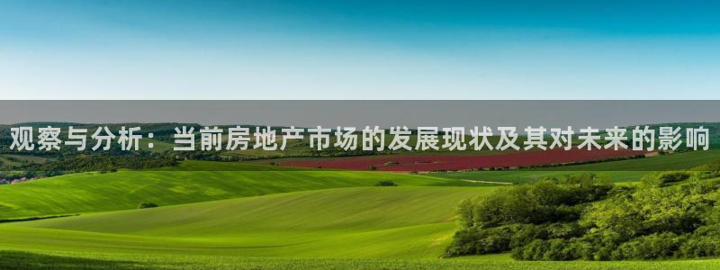 新宝5官网app：观察与分析：当前房地产市场的发展现状及其对