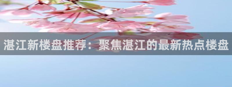 新宝5注册链接：湛江新楼盘推荐：聚焦湛江的最新热点楼盘
