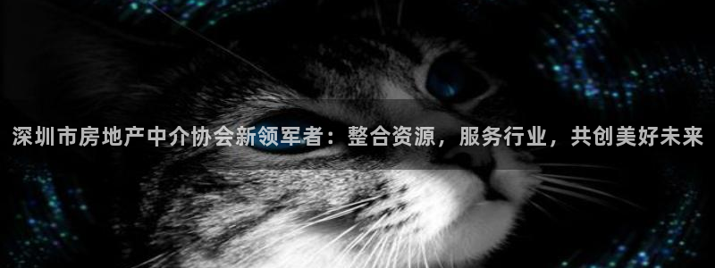 新宝5入口：深圳市房地产中介协会新领军者：整合资源，服务行业