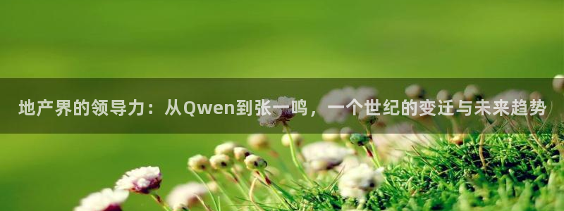 新宝5平台注册公司：地产界的领导力：从Qwen到张一鸣，一个