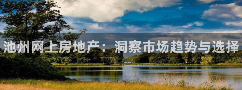 新宝5娱乐登录：池州网上房地产：洞察市场趋势与选择