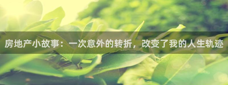 新宝5娱乐代理：房地产小故事：一次意外的转折，改变了我的人生