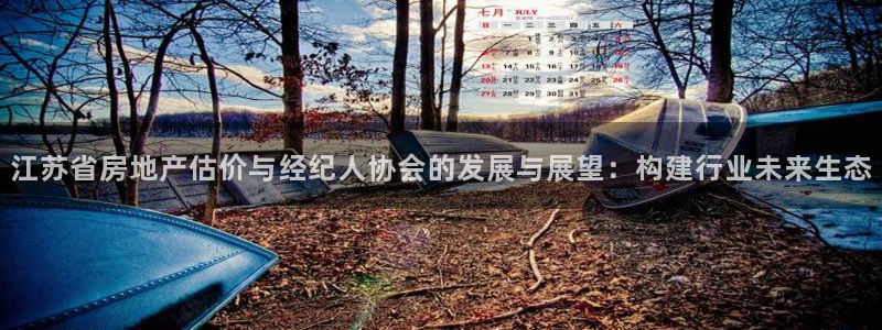 新宝5寻33 300球：江苏省房地产估价与经纪人协会的发展与