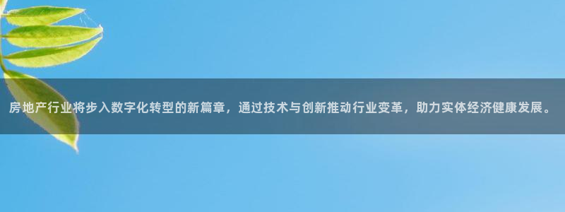 新宝堂新会陈皮5年：房地产行业将步入数字化转型的新篇章，通过