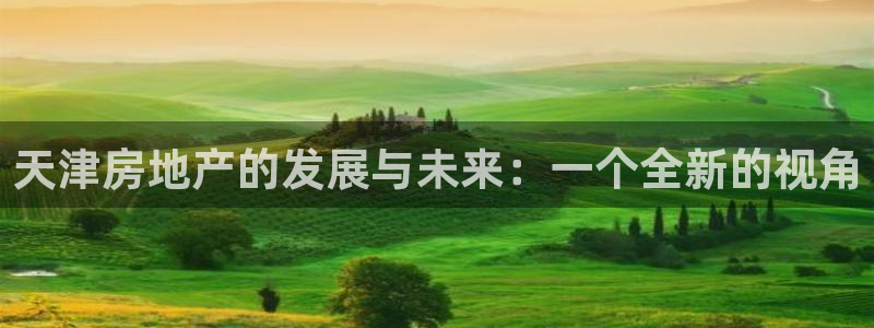新宝5户端：天津房地产的发展与未来：一个全新的视角