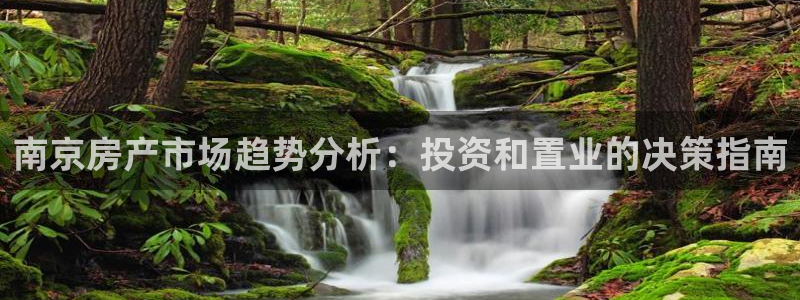 新宝5入口：南京房产市场趋势分析：投资和置业的决策指南