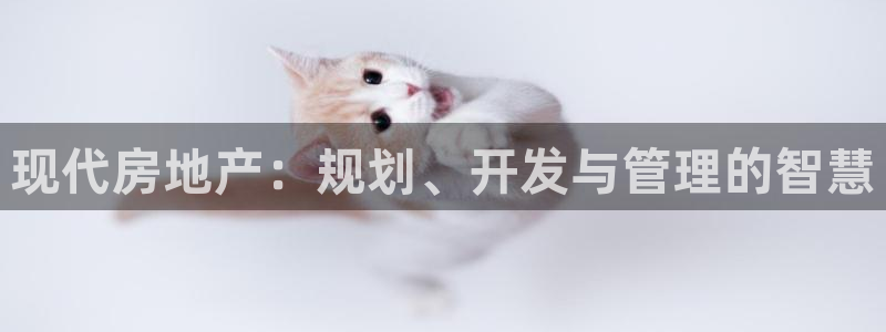 新宝5登陆地址：现代房地产：规划、开发与管理的智慧