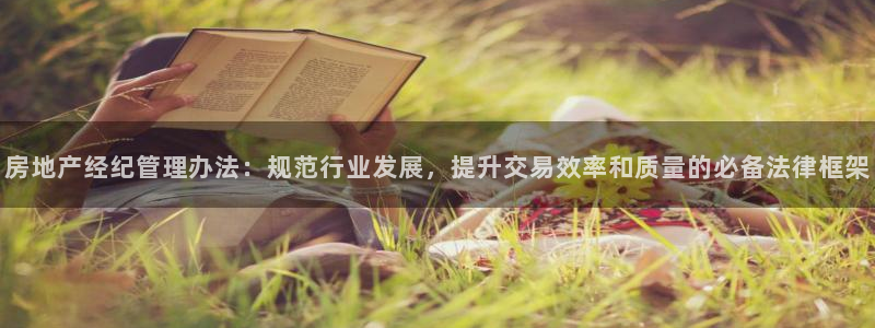新宝5线路登录：房地产经纪管理办法：规范行业发展，提升交易效