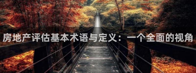 新宝5地址：房地产评估基本术语与定义：一个全面的视角