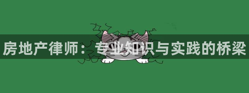 新宝cR一5：房地产律师：专业知识与实践的桥梁