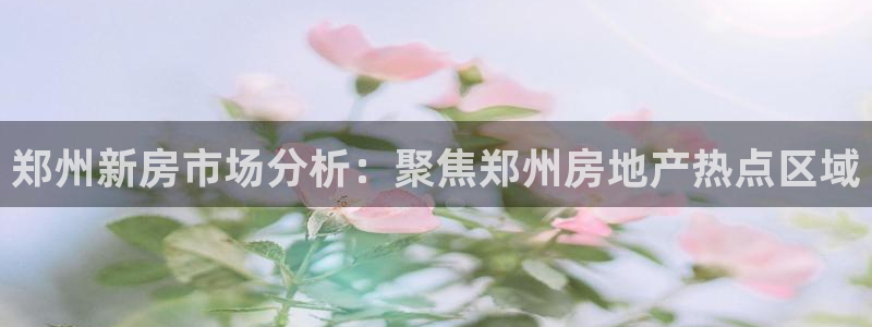 新宝5电脑登录网址：郑州新房市场分析：聚焦郑州房地产热点区域