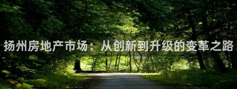 新宝5娱乐登录：扬州房地产市场：从创新到升级的变革之路