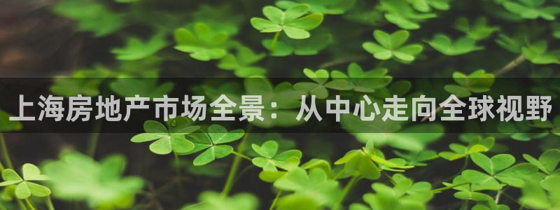新宝5注册链接：上海房地产市场全景：从中心走向全球视野
