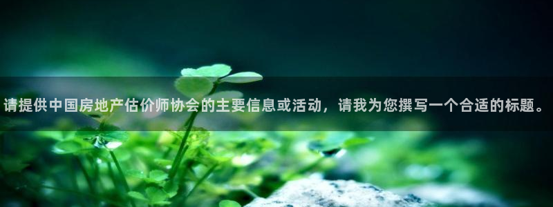 新宝5总代：请提供中国房地产估价师协会的主要信息或活动，请我