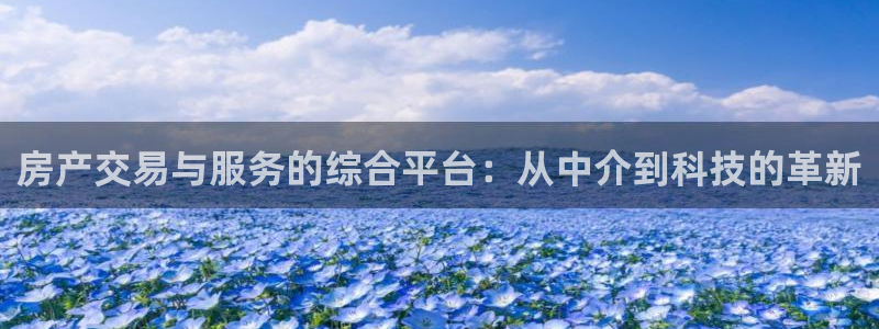 新宝5分彩：房产交易与服务的综合平台：从中介到科技的革新