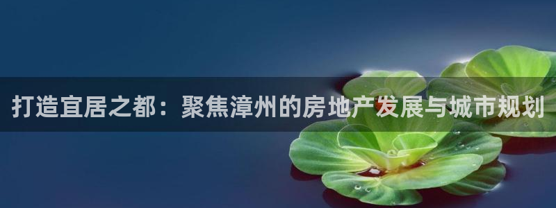 新宝5平台咋样：打造宜居之都：聚焦漳州的房地产发展与城市规划