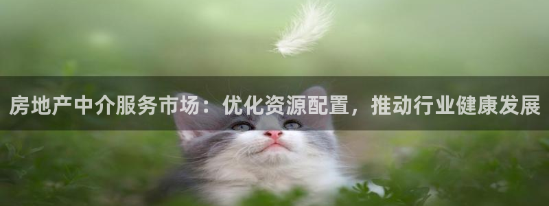 新宝那2O5O5O：房地产中介服务市场：优化资源配置，推动行