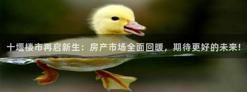 新宝测速5：十堰楼市再启新生：房产市场全面回暖，期待更好的未