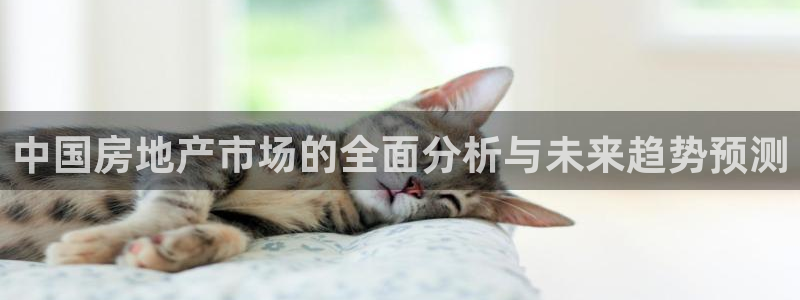 新宝5如何下载：中国房地产市场的全面分析与未来趋势预测