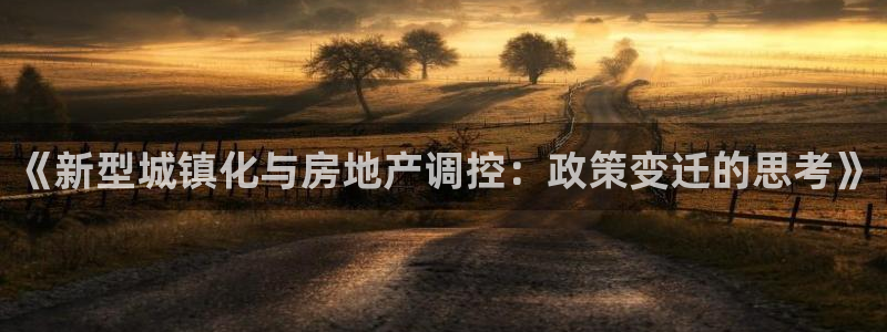 新宝5球维33 300：《新型城镇化与房地产调控：政策变迁的