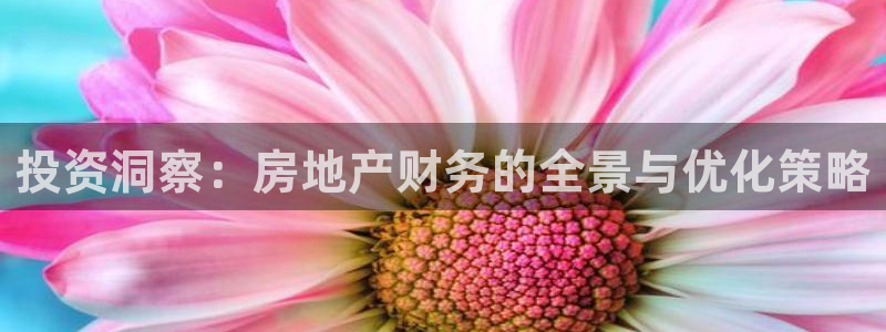 新宝5娱乐没：投资洞察：房地产财务的全景与优化策略