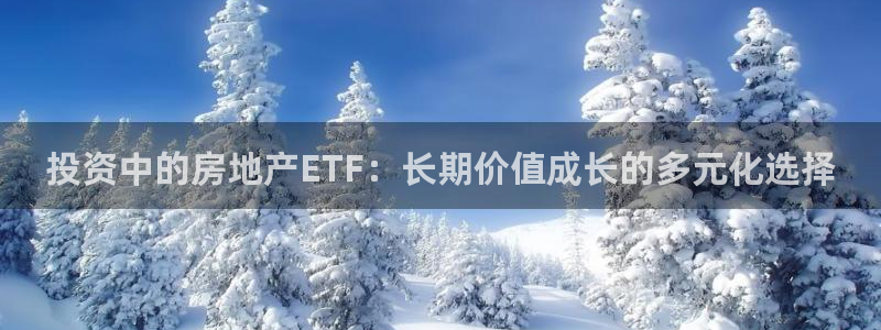 新宝5 888：投资中的房地产ETF：长期价值成长的多元化选