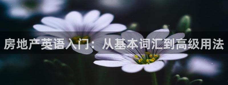 新宝5娱乐主管：房地产英语入门：从基本词汇到高级用法