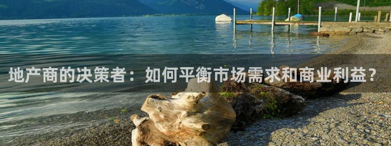新宝xb5：地产商的决策者：如何平衡市场需求和商业利益？