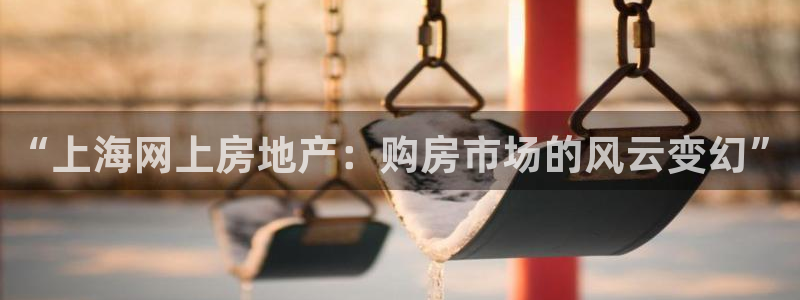 新宝5 注册：“上海网上房地产：购房市场的风云变幻”