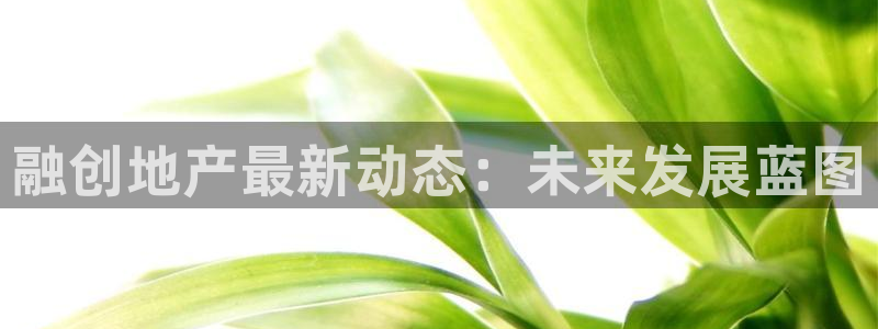 新宝5上来77542：融创地产最新动态：未来发展蓝图