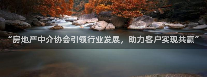新宝5登录测速中心：“房地产中介协会引领行业发展，助力客户实