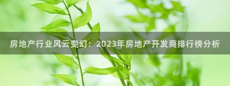 新宝5飞355051：房地产行业风云变幻：2023年房地产开
