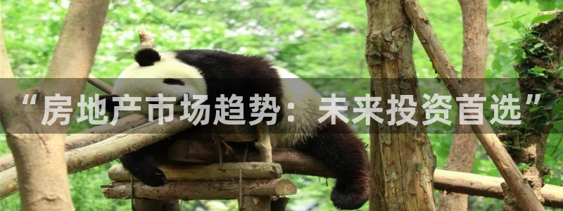新宝5手机版登录：“房地产市场趋势：未来投资首选”