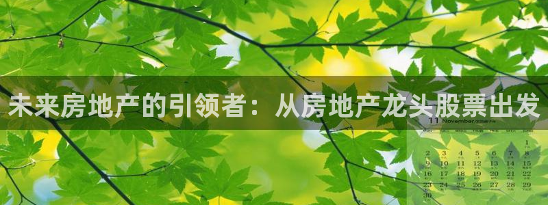 新宝5玩法：未来房地产的引领者：从房地产龙头股票出发