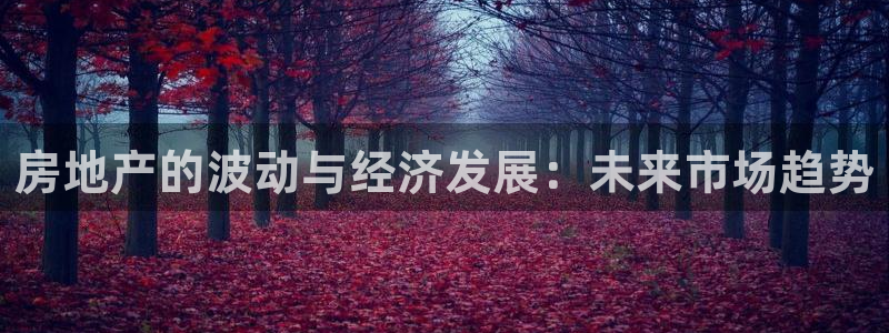 新宝5开户：房地产的波动与经济发展：未来市场趋势