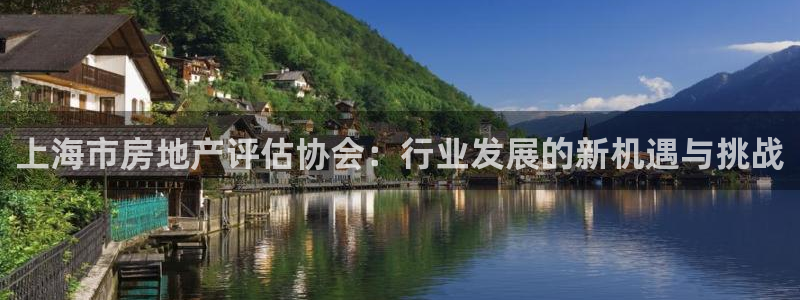 新宝5测速：上海市房地产评估协会：行业发展的新机遇与挑战