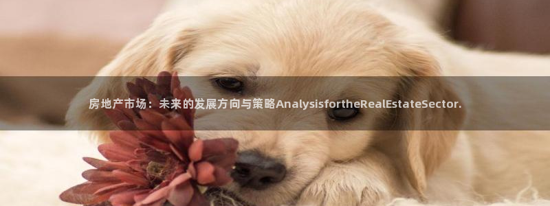 新宝5如何下载：房地产市场：未来的发展方向与策略Analys