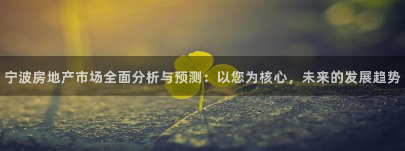 新宝j2O5O5O：宁波房地产市场全面分析与预测：以您为核心