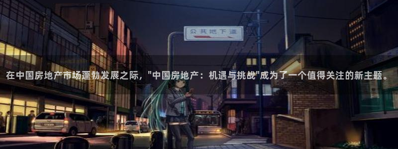 新宝xb5：在中国房地产市场蓬勃发展之际，\
