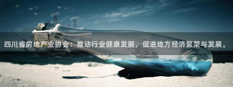 新宝5寂创33300散：四川省房地产业协会：推动行业健康发展