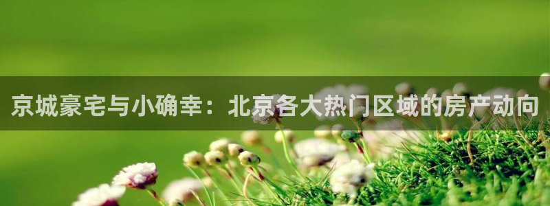 新宝5 测速：京城豪宅与小确幸：北京各大热门区域的房产动向