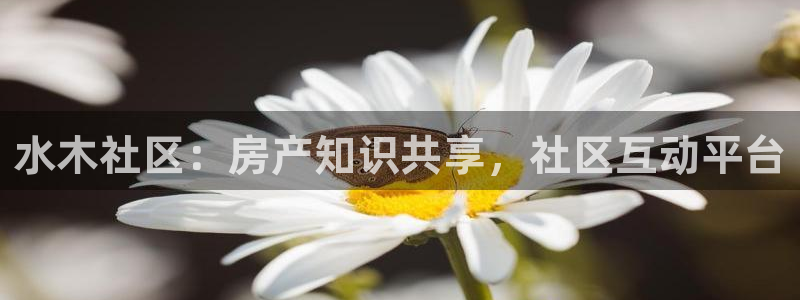新宝新5：水木社区：房产知识共享，社区互动平台