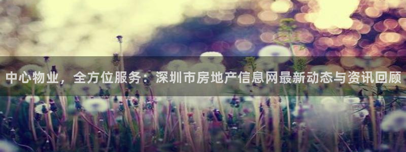 新宝m2O5O5O：中心物业，全方位服务：深圳市房地产信息网