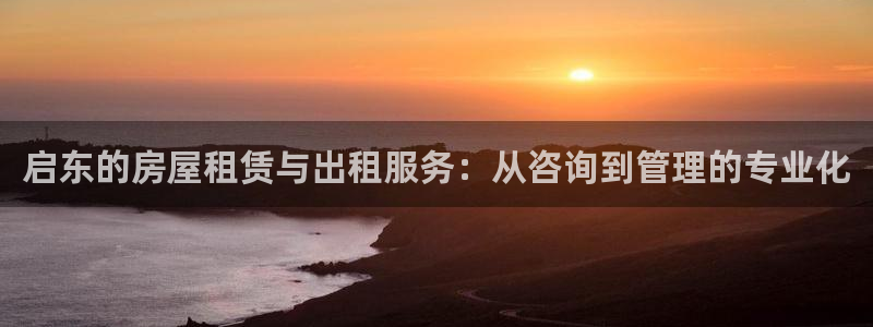 新宝5d：启东的房屋租赁与出租服务：从咨询到管理的专业化