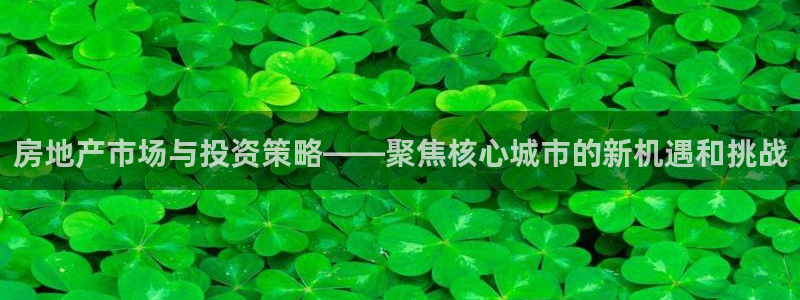 新宝5平台登录：房地产市场与投资策略——聚焦核心城市的新机遇