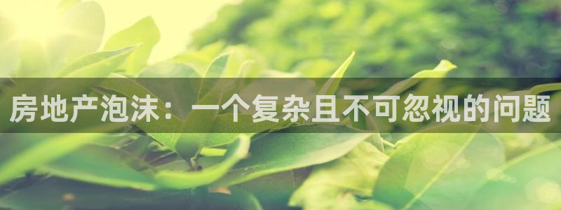 新宝5五：房地产泡沫：一个复杂且不可忽视的问题