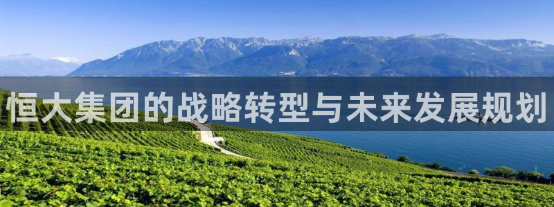 新宝5为啥开：恒大集团的战略转型与未来发展规划