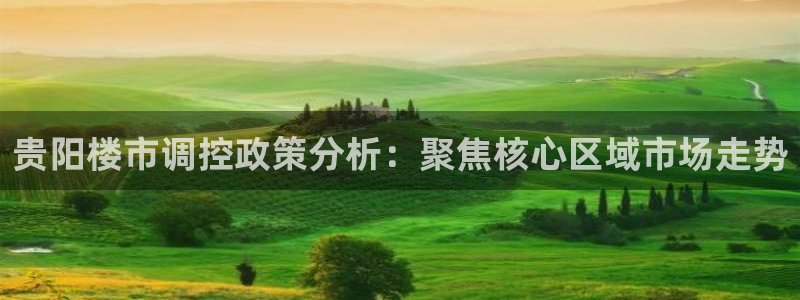 新宝5是什么样子的：贵阳楼市调控政策分析：聚焦核心区域市场走